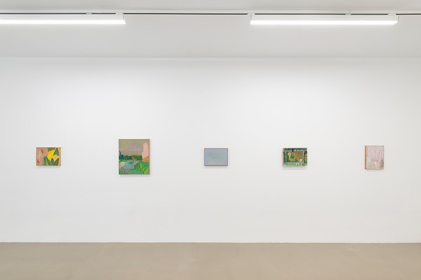Image 4 of 31