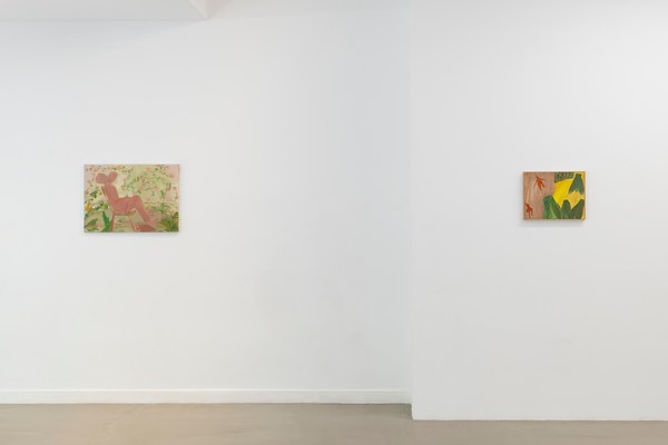 Image 6 of 31