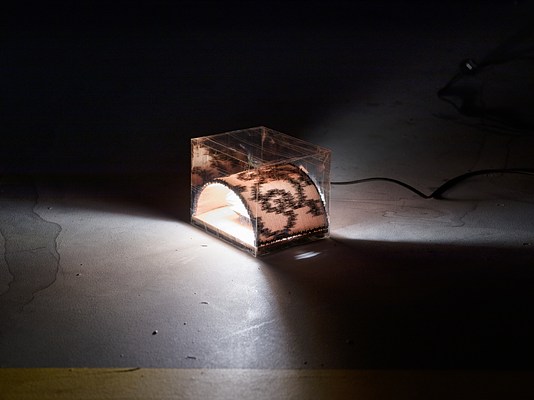 Image 10 of 43