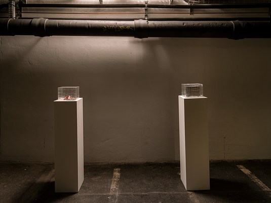 Image 26 of 43