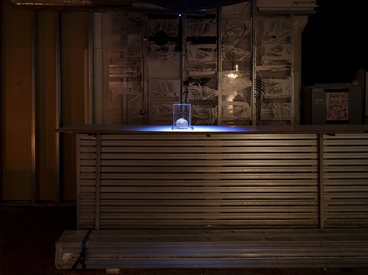 Image 31 of 43