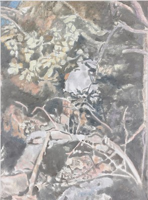 Image 12 of 15