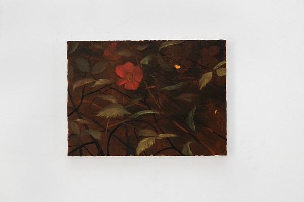 Image 10 of 20