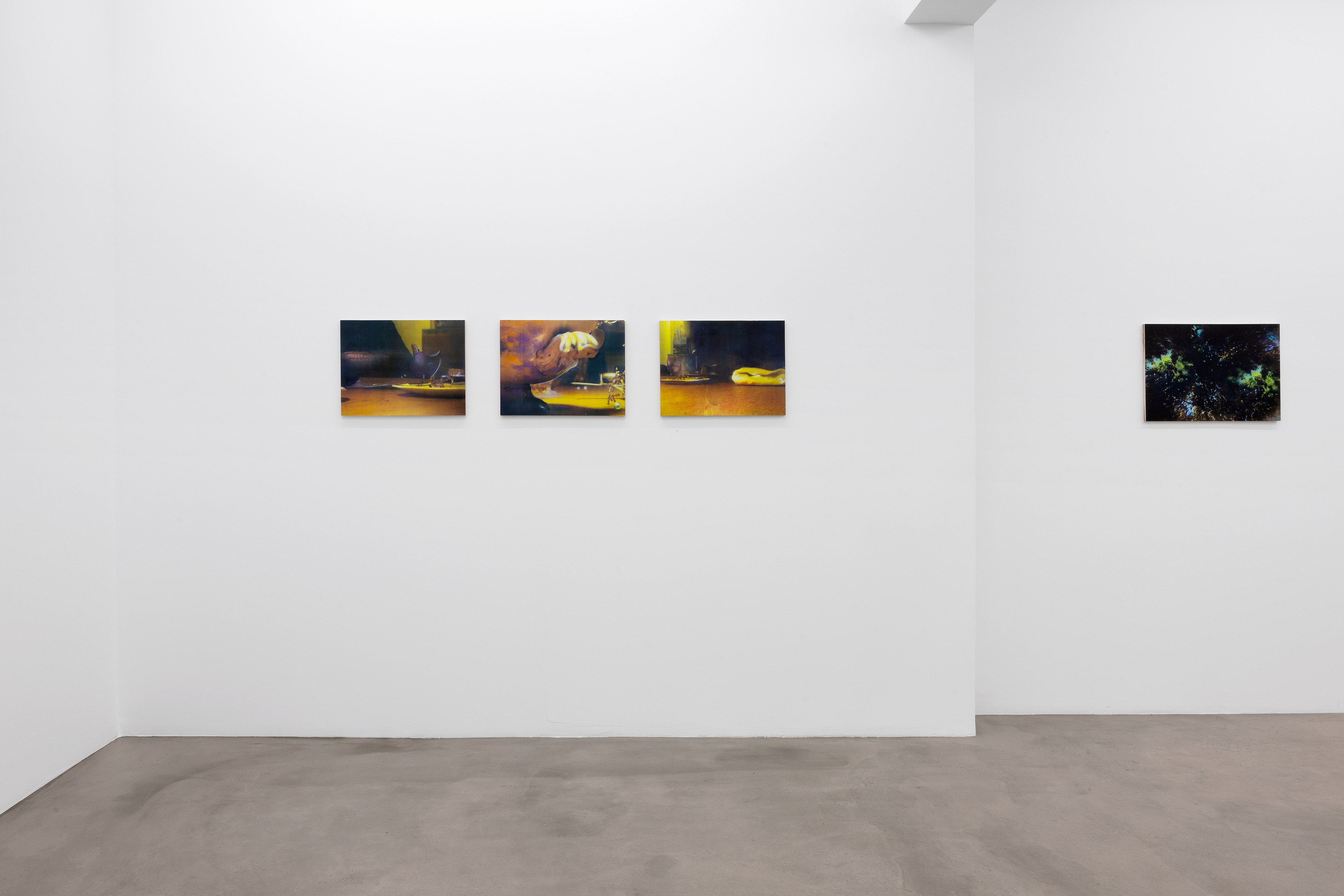 Noémie Degen/Simon Jaton, Un étrange désir at Édouard Montassut, photo 2