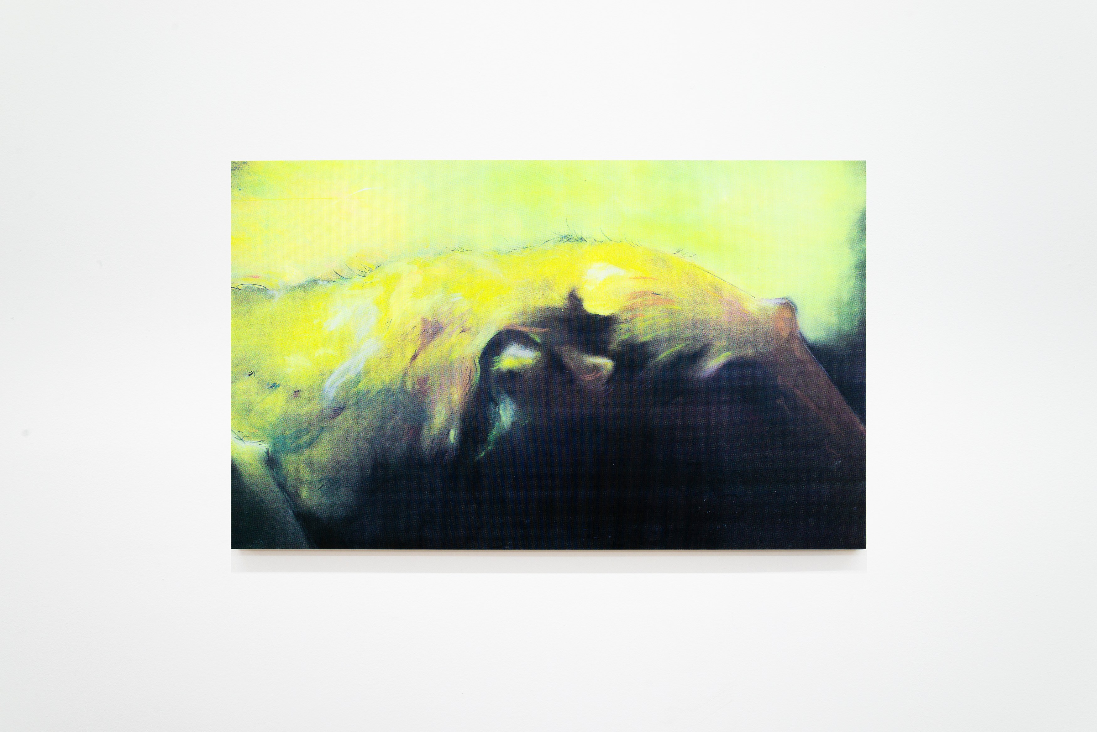 Noémie Degen/Simon Jaton, Un étrange désir at Édouard Montassut, photo 8