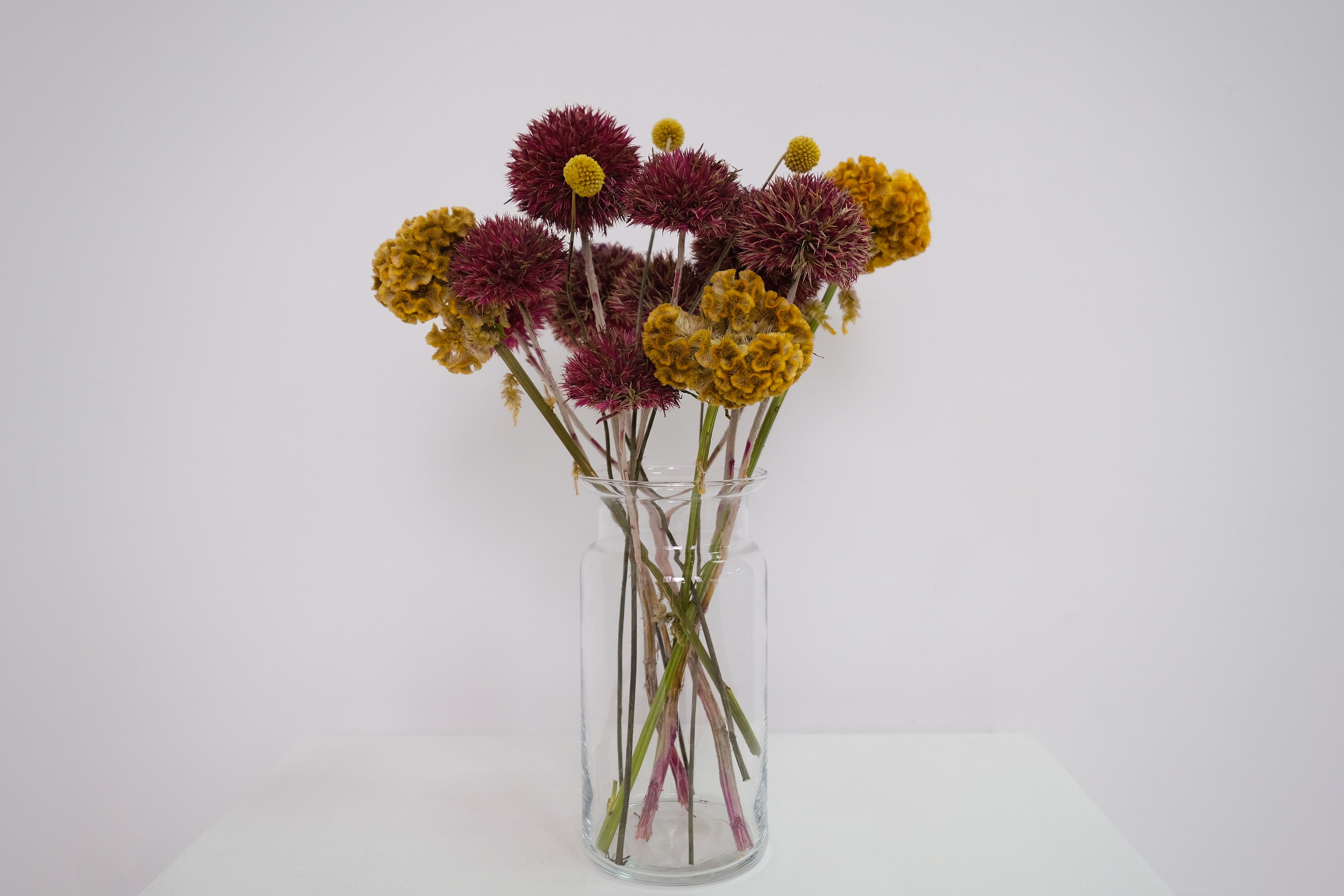 Juanita Care, VIOLENCE STARTS IN THE MOUTH at Goswell Road, photo 22
