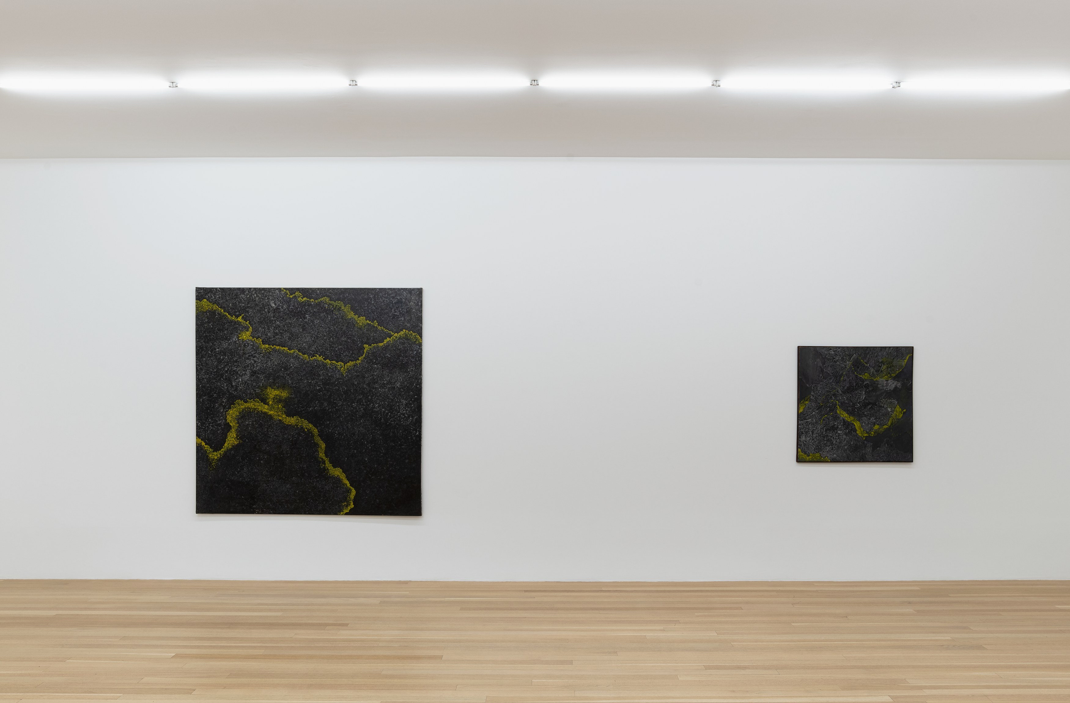 Paul Thek, 5 Paintings 1962-1963 at Galerie Buchholz, Berlin, photo 10