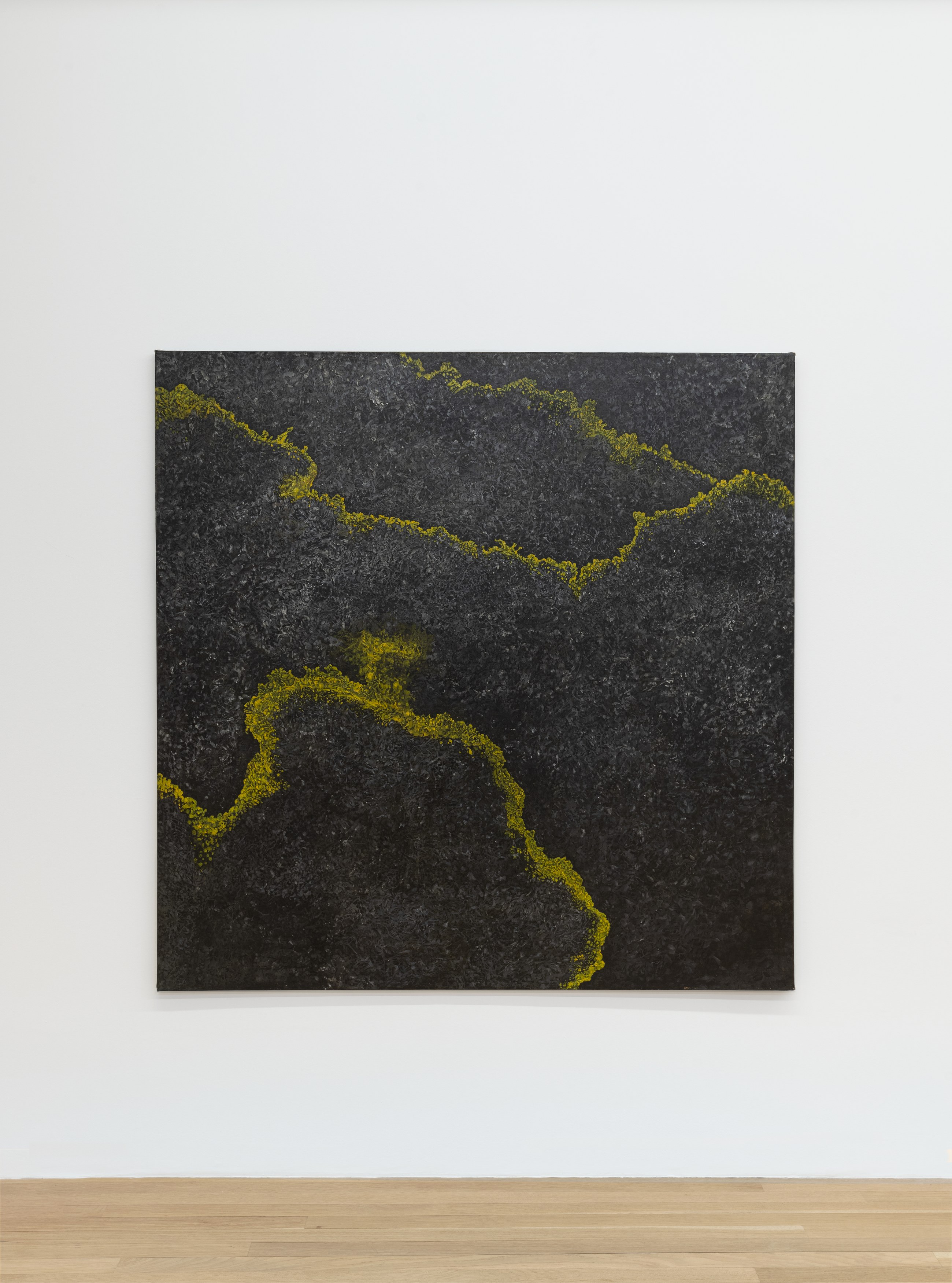 Paul Thek, 5 Paintings 1962-1963 at Galerie Buchholz, Berlin, photo 11