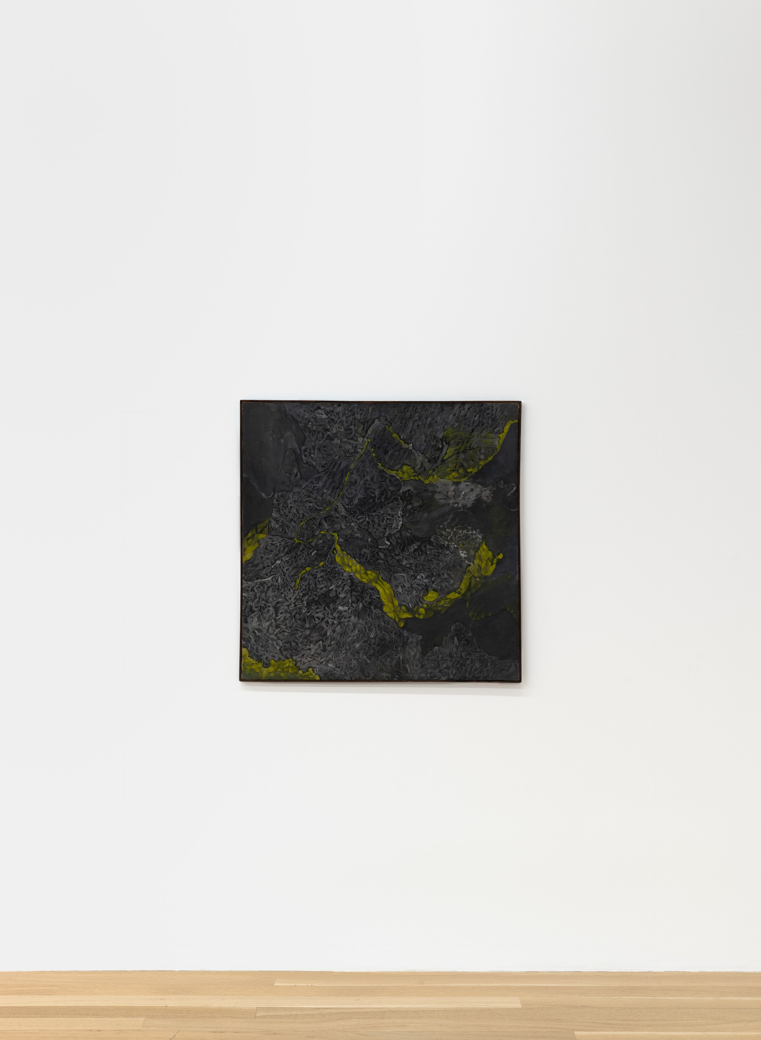 Paul Thek, 5 Paintings 1962-1963 at Galerie Buchholz, Berlin, photo 13