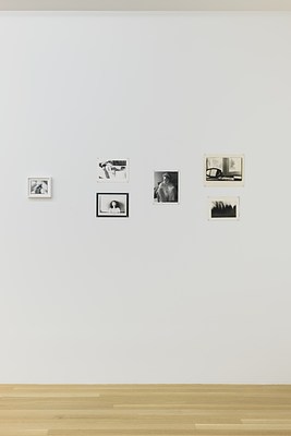 Image 6 of 31