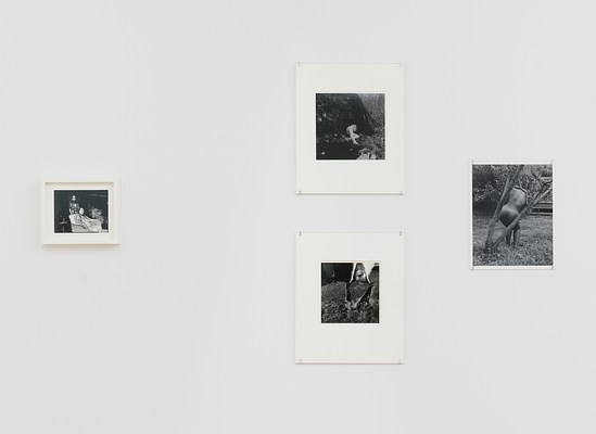 Image 16 of 31