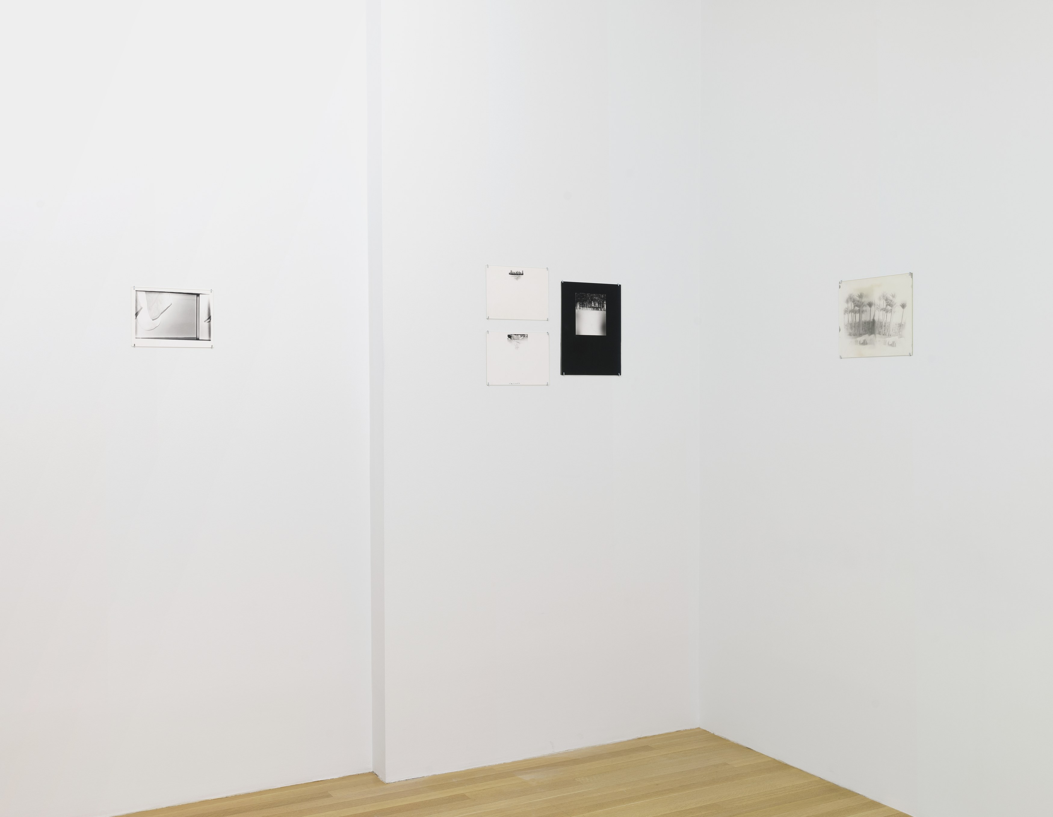 Forks and spoons, Forks and spoons at Galerie Buchholz, Berlin, photo 23