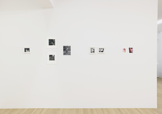 Image 14 of 31