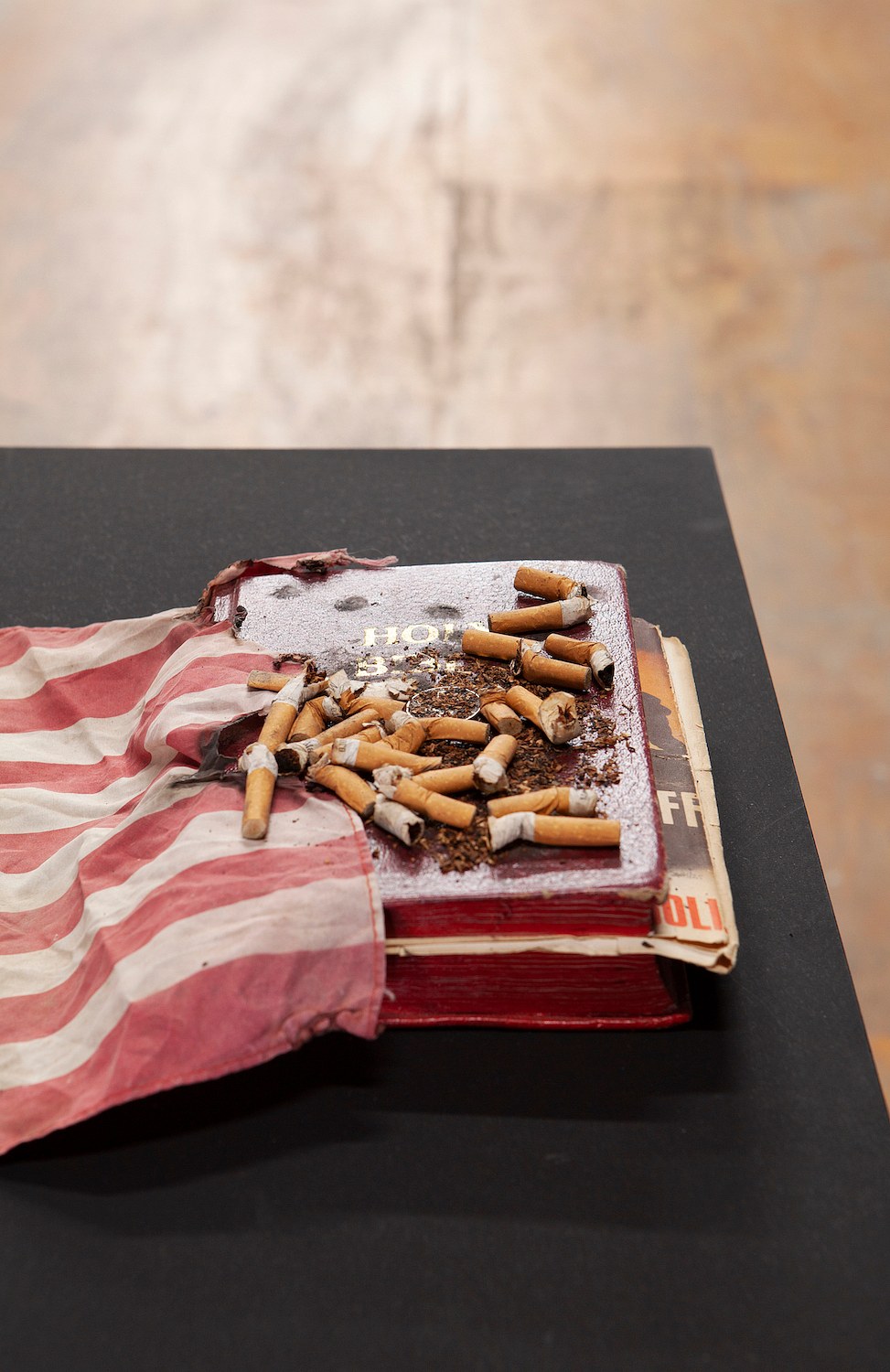 Dash Snow, The Drowned World Selections from the Dash Snow Archive at Participant Inc, photo 3