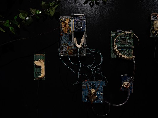 Image 11 of 30