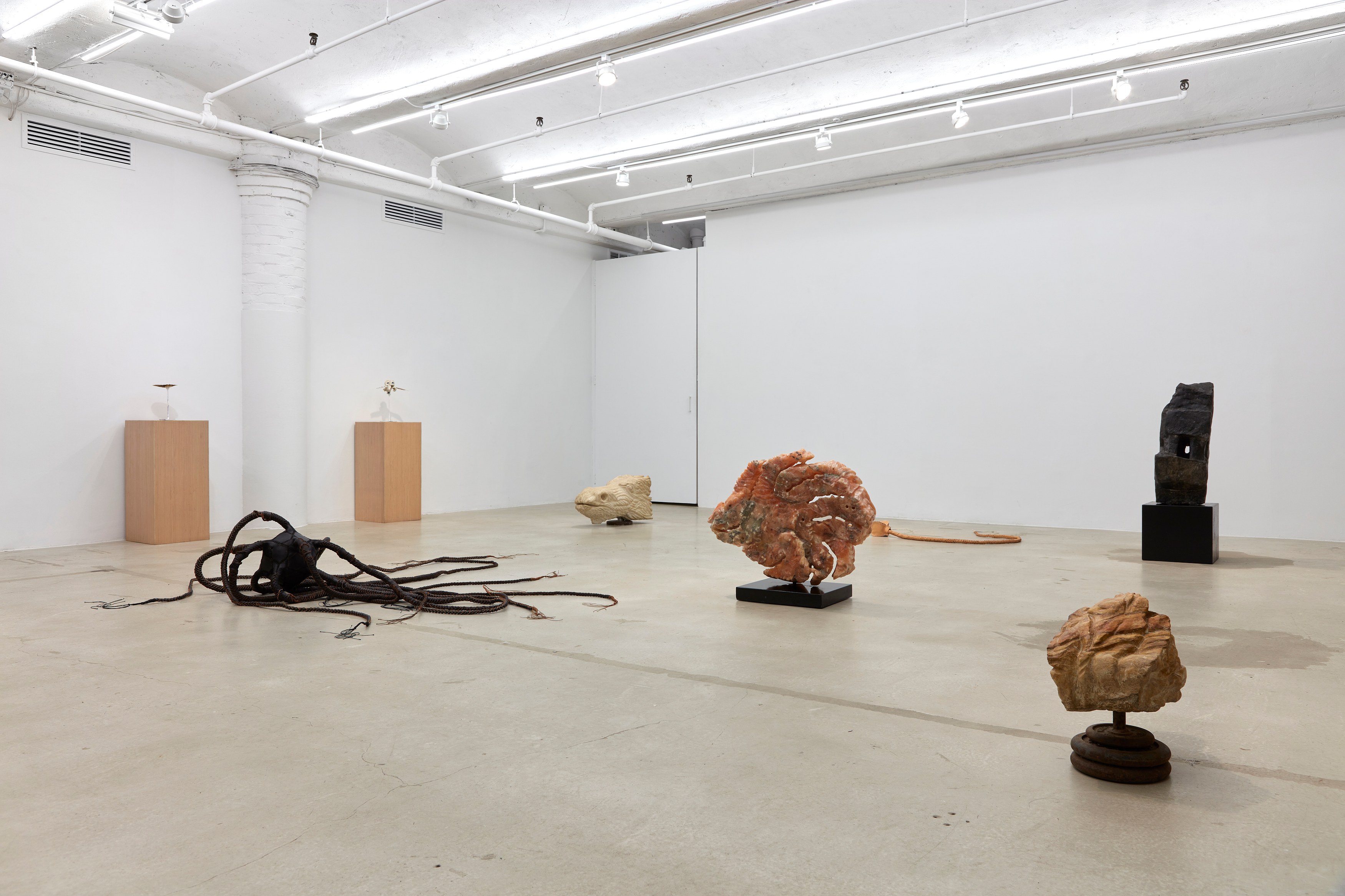 Jerry the Marble Faun, Vincent Tiley, Flesh Becomes Stone at Situations, photo 8