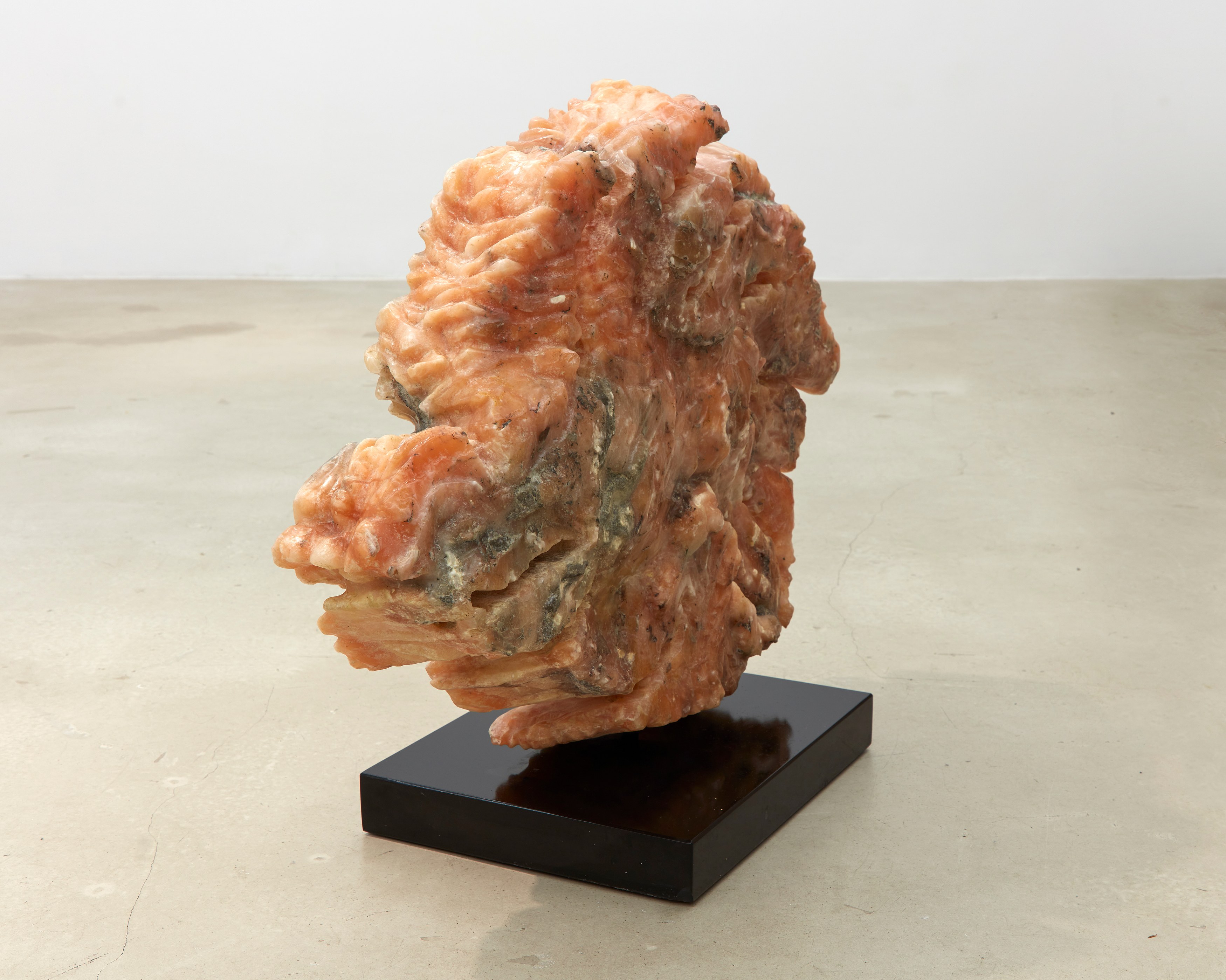 Jerry the Marble Faun, Vincent Tiley, Flesh Becomes Stone at Situations, photo 32