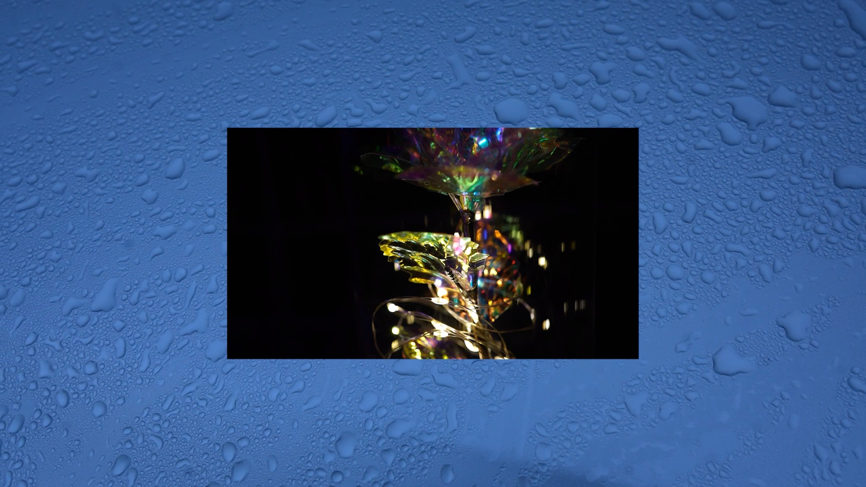 Jonny Negron, La Vision del Pan at Tragic Venus, CELESTE | data center Marilyn, Champs-sur-Marne, photo 14