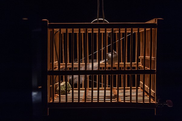 Image 6 of 10