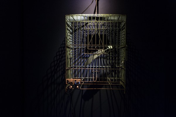 Image 7 of 10
