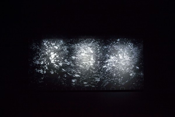 Image 3 of 12