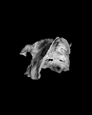 Image 21 of 26