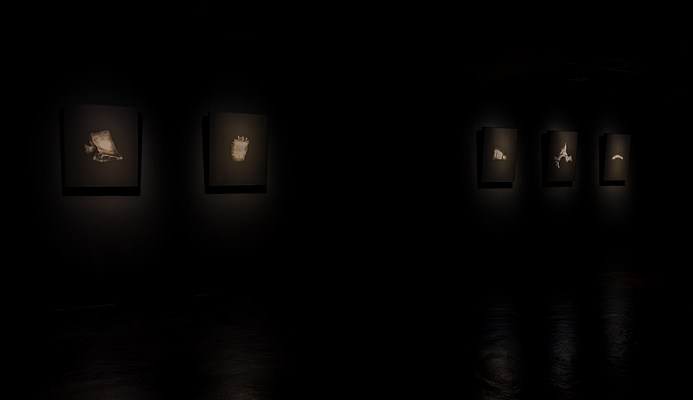 Image 5 of 26