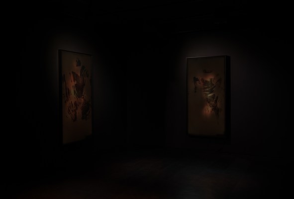 Image 4 of 26