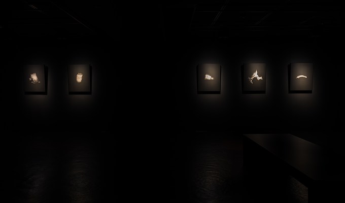Image 6 of 26