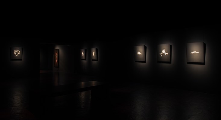 Image 7 of 26