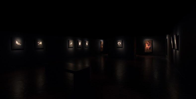 Image 9 of 26