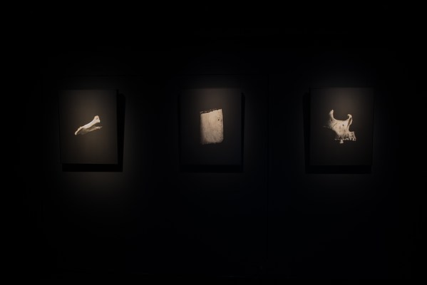 Image 11 of 26
