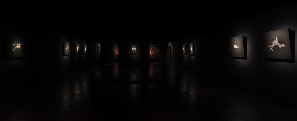Image 8 of 26