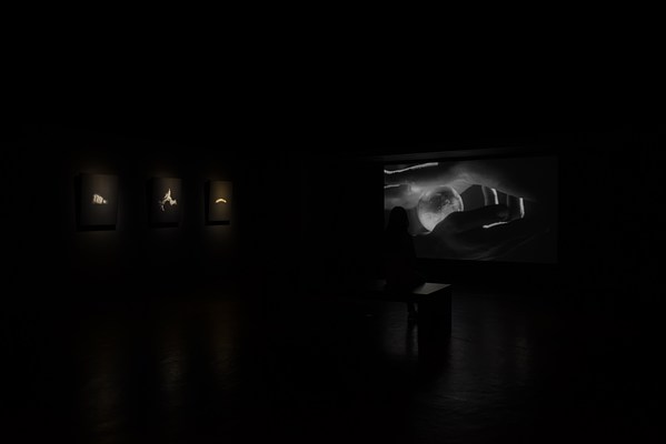 Image 14 of 26