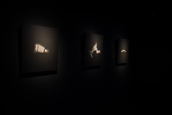 Image 12 of 26