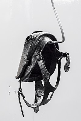 Image 6 of 14