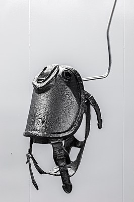Image 5 of 14