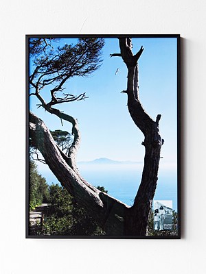 Image 1 of 14