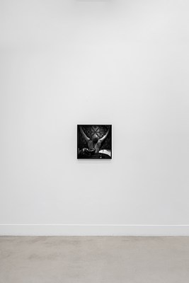 Image 9 of 13