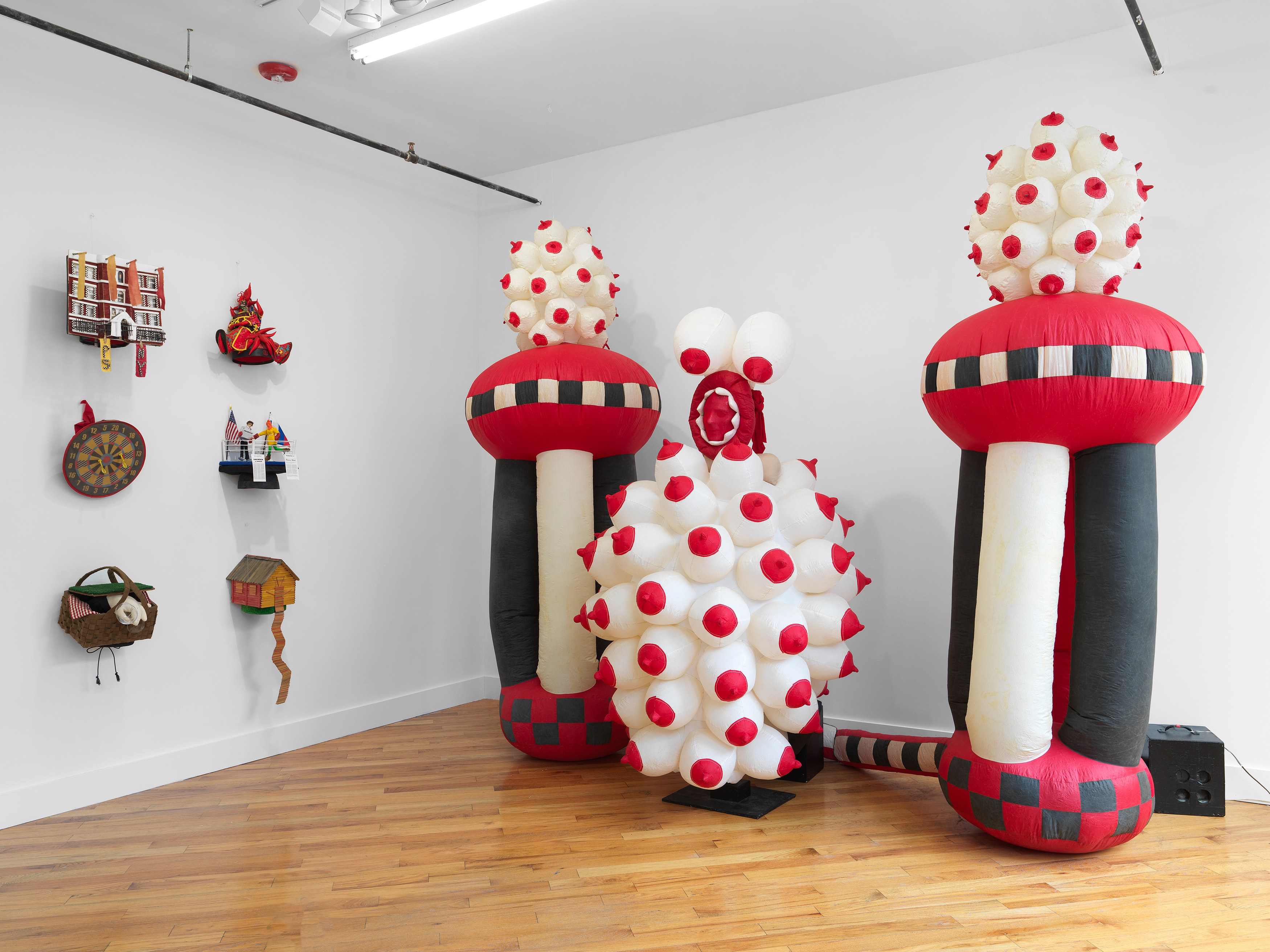 Pat Oleszko, Pat's Imperfect Present Tense at David Peter Francis, photo 10