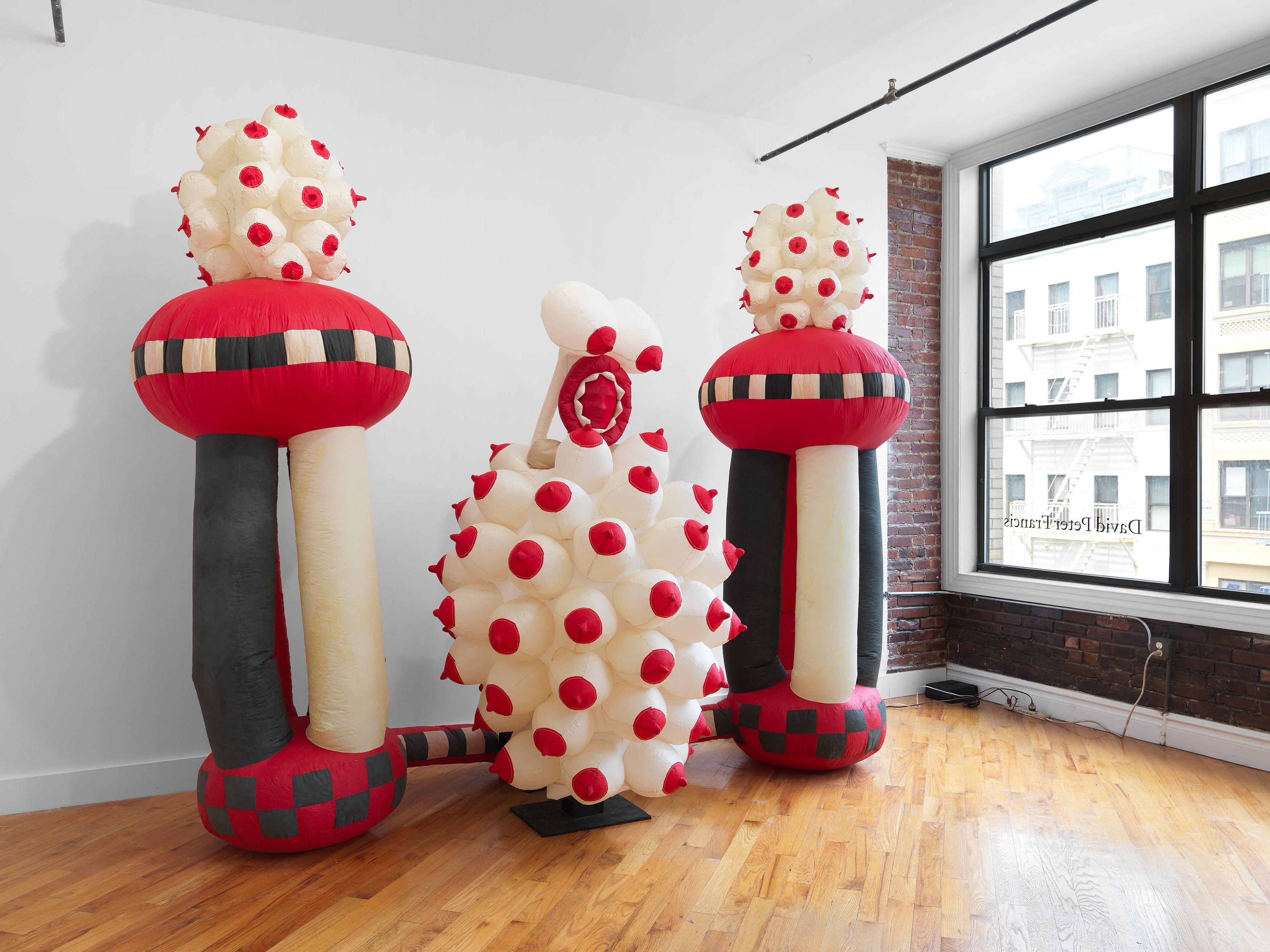 Pat Oleszko, Pat's Imperfect Present Tense at David Peter Francis, photo 9