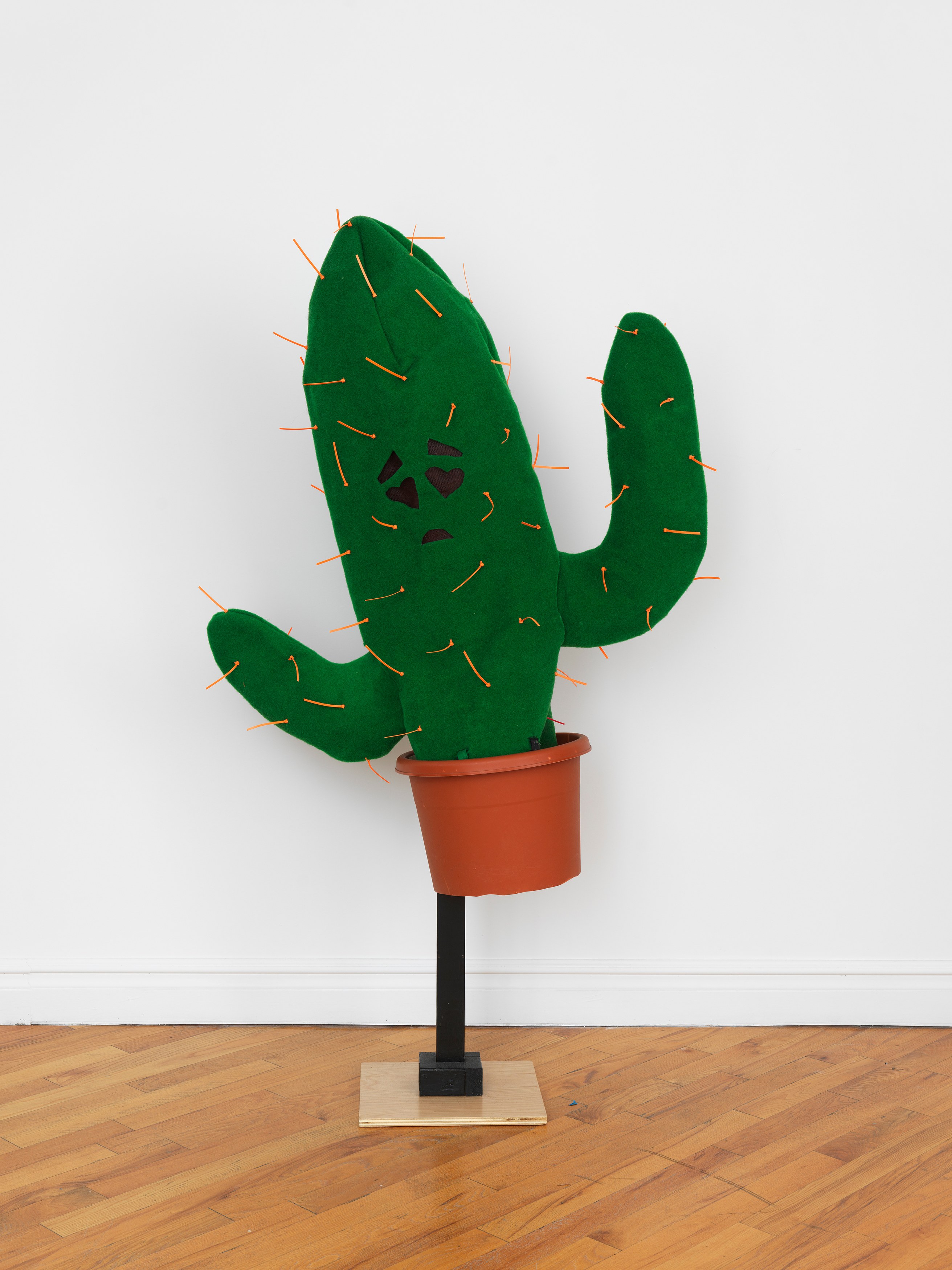 Pat Oleszko, Pat's Imperfect Present Tense at David Peter Francis, photo 29