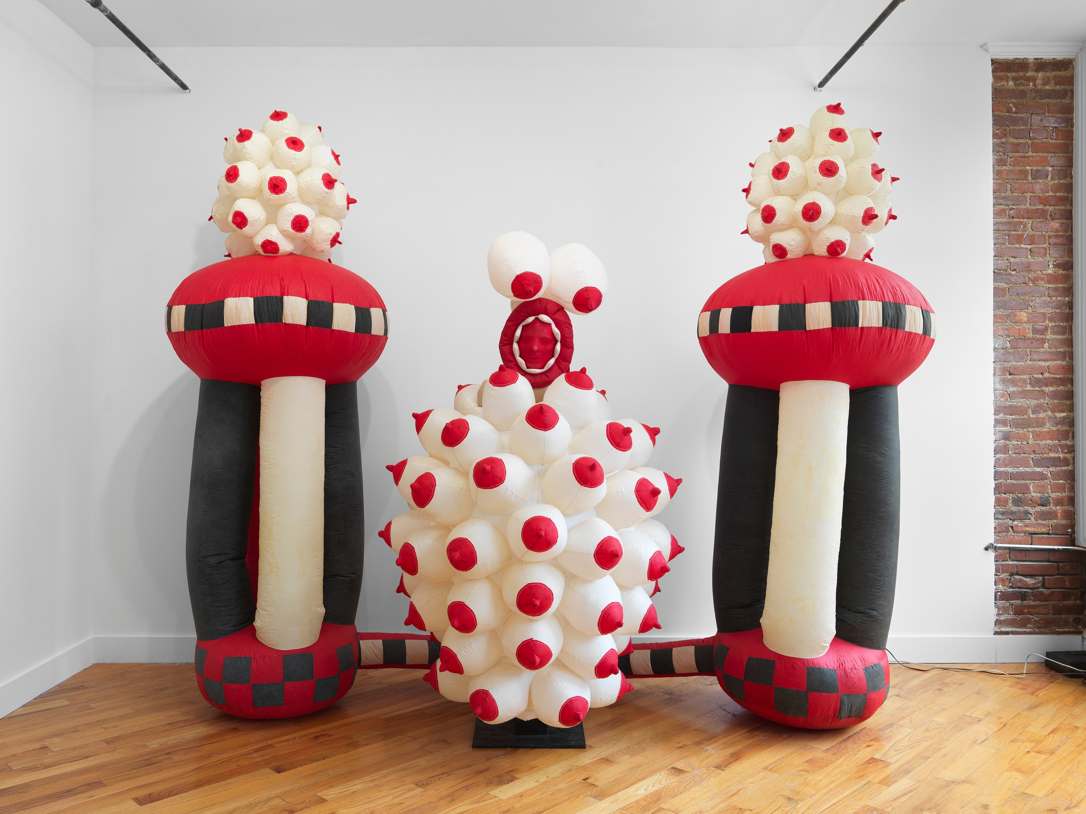 Pat Oleszko, Pat's Imperfect Present Tense at David Peter Francis, photo 28