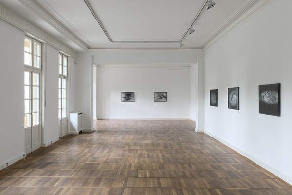 Image 14 of 36