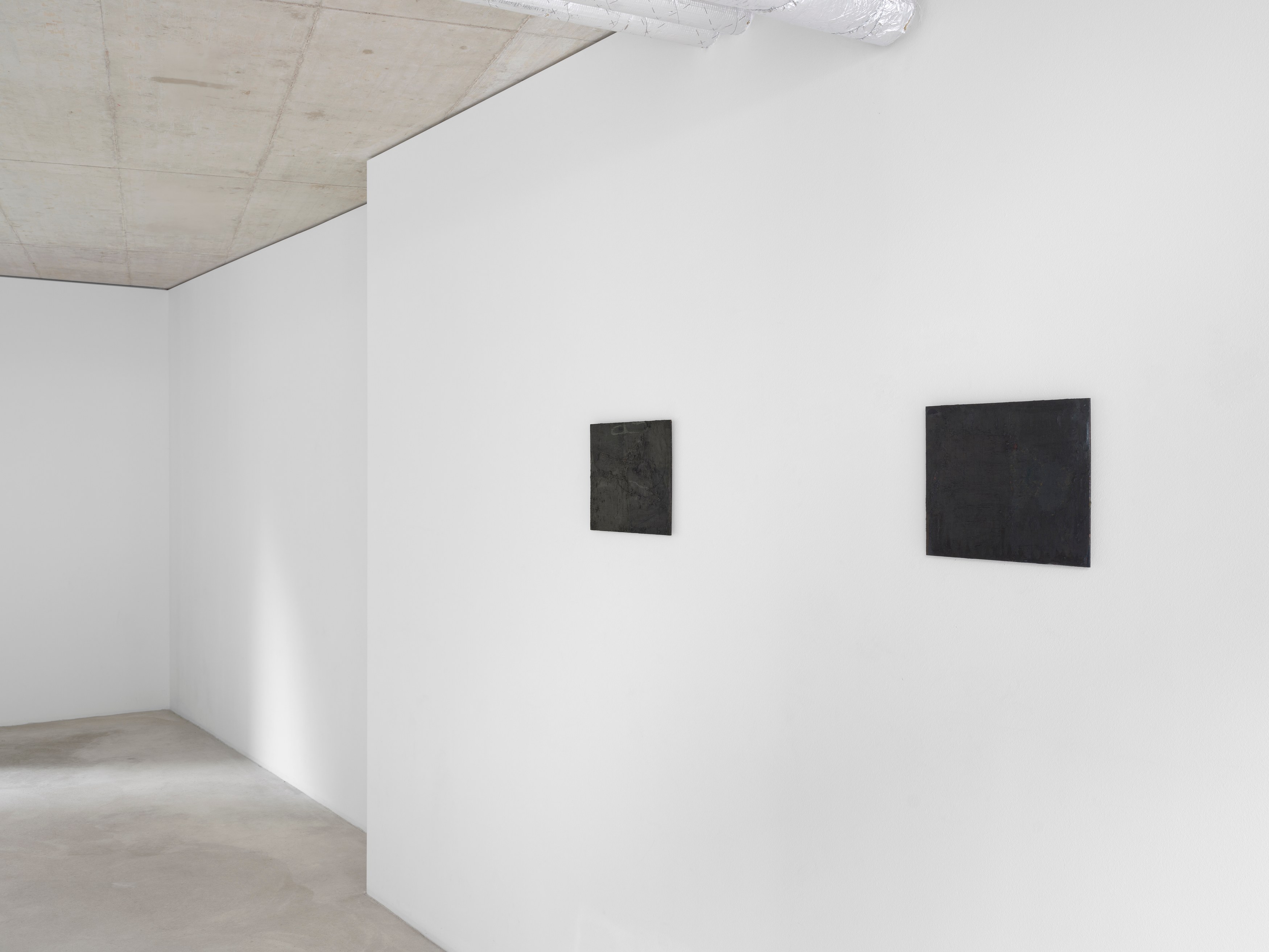 Tess Wei, two in a lake at Galerie Molitor, photo 2