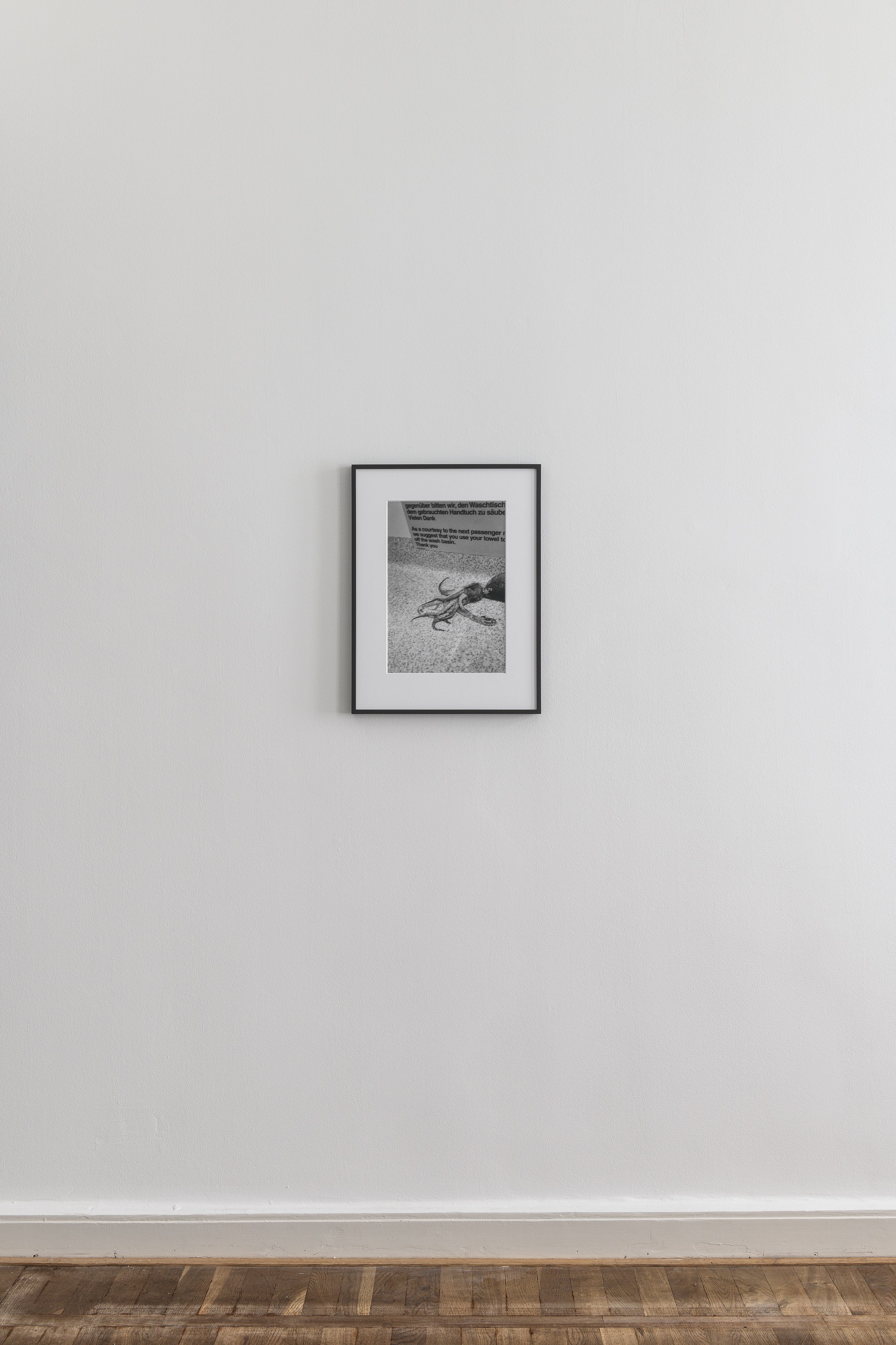 Josephine Pryde, image 24 of 36