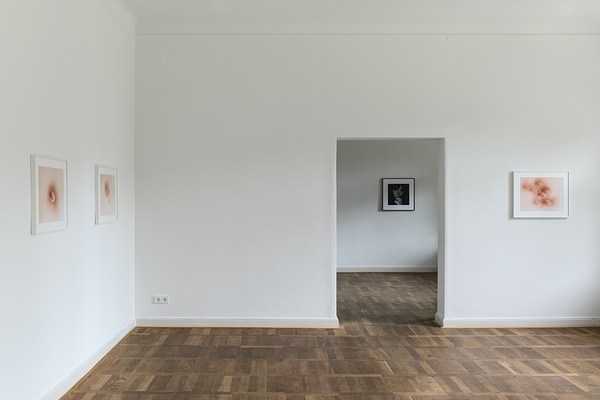 Image 36 of 36