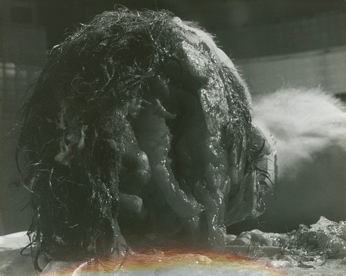 Image 12 of 34