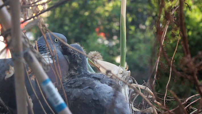 Image 9 of 33