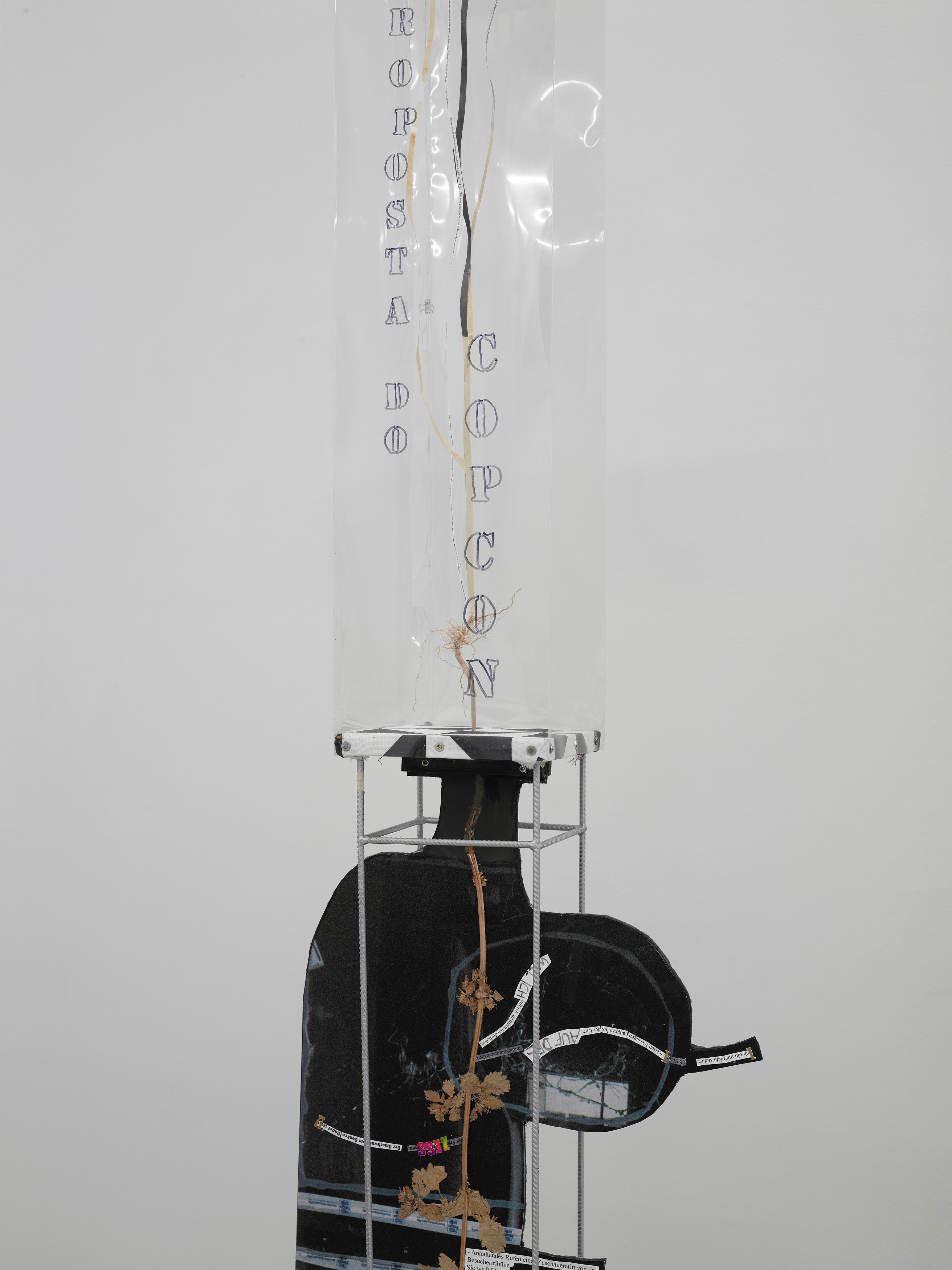 Anna Boghiguian, Alice Creischer, Eugenio Dittborn, Sophie Gogl, Goshka Macuga, Monsieur Zohore, image 12 of 19